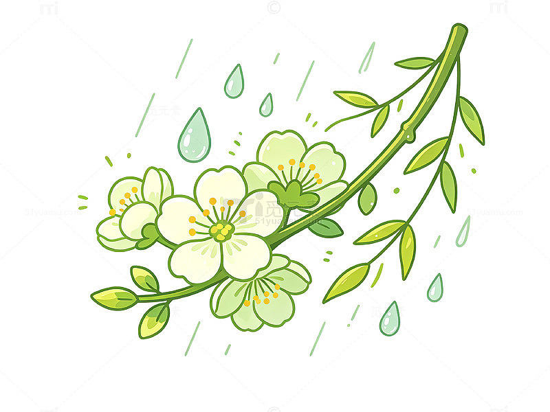 春日花卉雨滴插画
