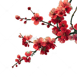 桃花纷飞的春日幻想