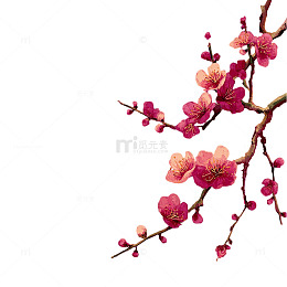 粉色花瓣的梦幻交响曲