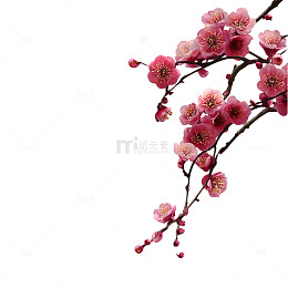 春日粉色花海的梦幻奇境