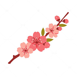 粉色花海漫步梦境