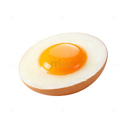 逼真鸡蛋插画素材