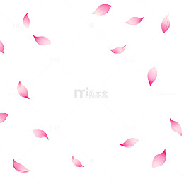 樱花瓣飘落背景图
