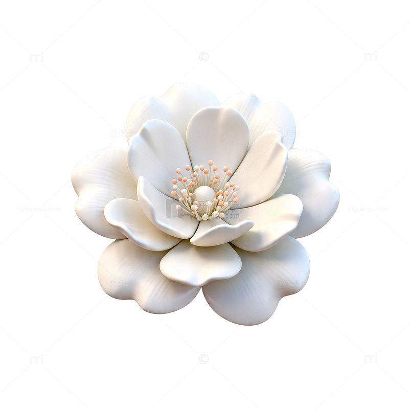 精致陶瓷白花朵装饰设计元素