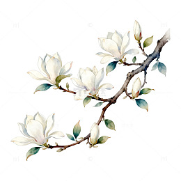 水墨玉兰花卉插画设计素材