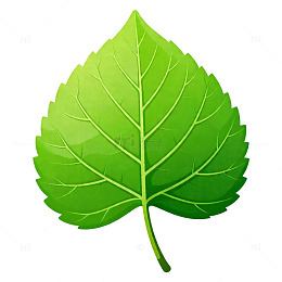 绿色叶子矢量插画