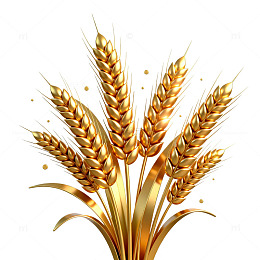 金色麦穗插画设计素材