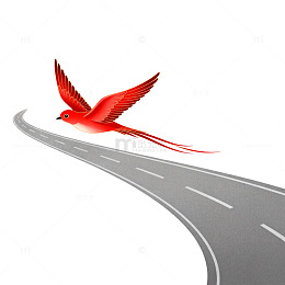 公路飞鸟卡通插画