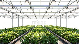 现代化温室种植园