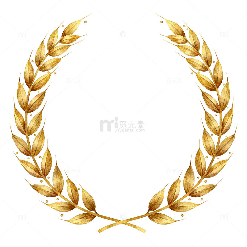 金色麦穗花环图案