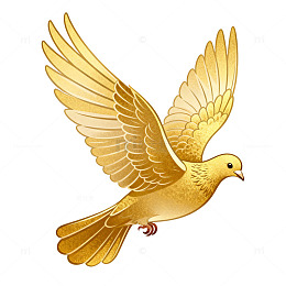 金色鸽子插画