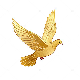金色鸽子插画