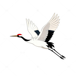简约风飞翔仙鹤矢量插画