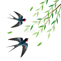 燕子飞柳树枝插画