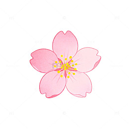 卡通风格樱花插画