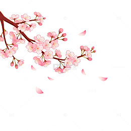 和风樱花手绘插画