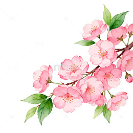 水彩樱花盛开春季装饰插画素材