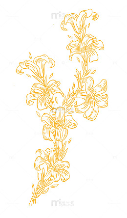 花卉手绘线条画矢量图