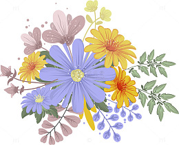 多彩花卉插画设计素材