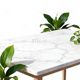 大理石桌面绿植装饰设计