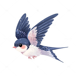 翩翩飞舞的蓝色燕子梦幻之旅