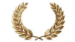 金色橄榄枝环形装饰图案