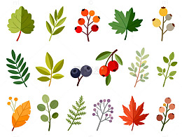 秋季植物插画设计素材