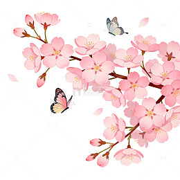 水彩樱花蝴蝶插画设计素材