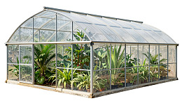 玻璃温室内的热带植物景观