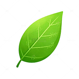 绿色叶子插画元素