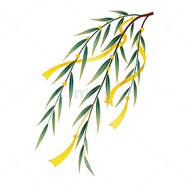 简约风橄榄枝插画
