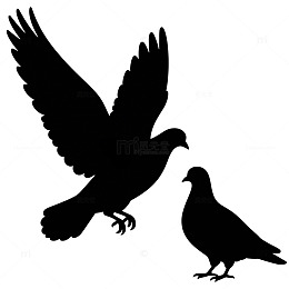 剪影风格鸟类图案