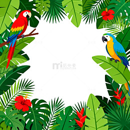 热带雨林鹦鹉插画设计模板