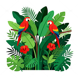 热带雨林鹦鹉插画素材