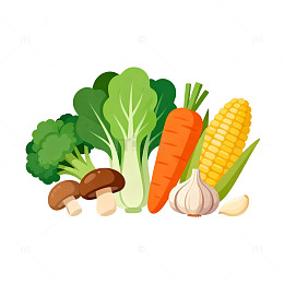 蔬菜插画设计素材