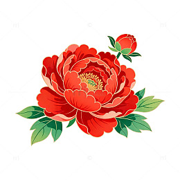 中国风牡丹花卉插画素材