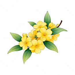 手绘风格黄花植物插画