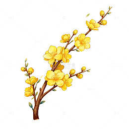 迎春花卡通装饰图案