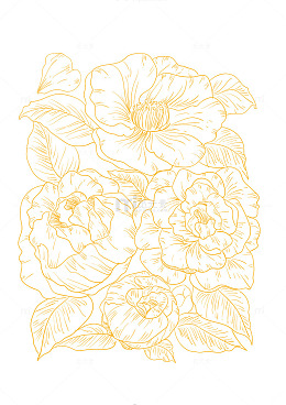 山茶花植物手绘线条画矢量图