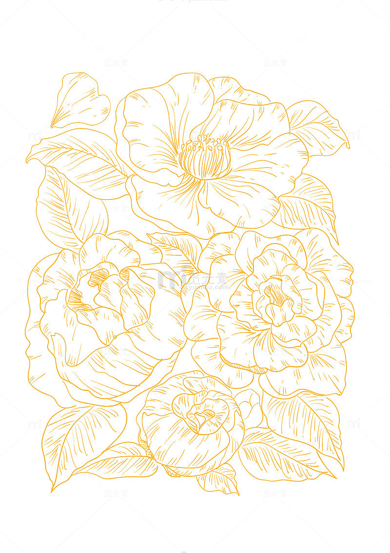 山茶花植物手绘线条画矢量图