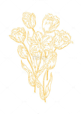 金色线描花朵艺术插画