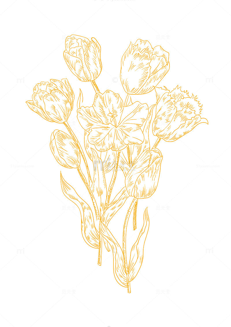 金色线描花朵艺术插画