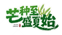 芒种至盛夏始艺术字
