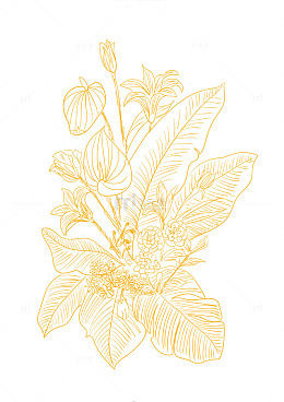 金色植物手绘线条画矢量图