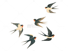 燕子飞翔插画素材