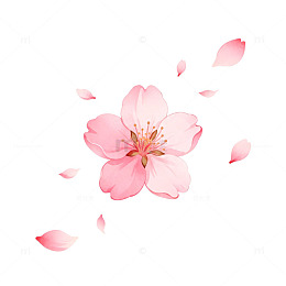 樱花盛开春天浪漫唯美插画