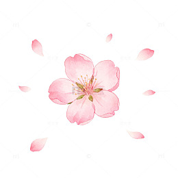 水彩樱花唯美春天插画元素