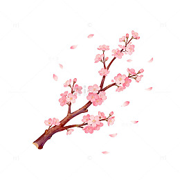 樱花插画手绘装饰元素