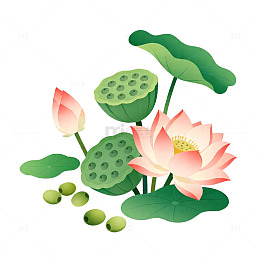 清新荷花荷叶矢量插画