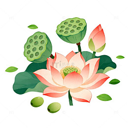 荷塘清韵矢量插画